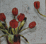 135. Красные тюльпаны - 12 руб.